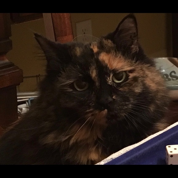 Meet your Posher, Tracy - Picture 1 of 1